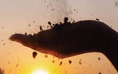 2024 Annual Report